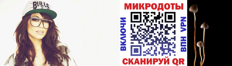 Галлюциногенные грибы Psilocybine cubensis  Бугульма 